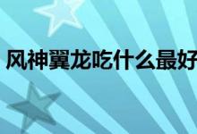 風(fēng)神翼龍吃什么最好（風(fēng)神翼龍吃什么飼料）
