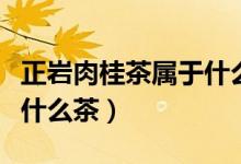 正巖肉桂茶屬于什么檔次的（正巖肉桂茶屬于什么茶）