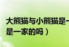 大熊貓與小熊貓是一家人嗎（大熊貓與小熊貓是一家的嗎）