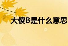 大傻B是什么意思（大傻逼是什么意思）