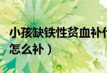 小孩缺鐵性貧血補什么鐵劑（小孩缺鐵性貧血怎么補）