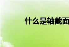 什么是軸截面（什么是軸承蓋）