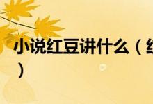 小說紅豆講什么（紅豆小說非木非石講的什么）