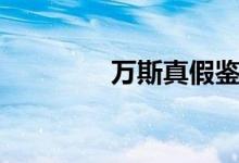 萬斯真假鑒別（教你幾步）