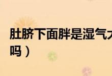 肚臍下面胖是濕氣大嗎（肚臍下面胖是濕氣大嗎）