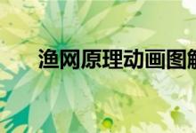 漁網(wǎng)原理動畫圖解（漁網(wǎng)原理是什么）