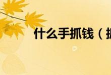 什么手抓錢（抓錢爪是什么意思）
