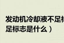 發(fā)動(dòng)機(jī)冷卻液不足標(biāo)志圖片（發(fā)動(dòng)機(jī)冷卻液不足標(biāo)志是什么）