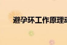 避孕環(huán)工作原理動(dòng)畫（避孕環(huán)是什么）