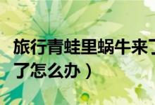 旅行青蛙里蝸牛來(lái)了怎么辦（旅行青蛙蝸牛來(lái)了怎么辦）