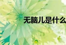 無腦兒是什么（無腦兒是什么）
