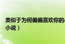 類似于為何偏偏喜歡你的小說（類似為何偏偏喜歡你的言情小說）
