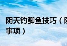 陰天釣鯽魚(yú)技巧（陰天釣鯽魚(yú)的小技巧和注意事項(xiàng)）