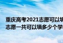 重慶高考2021志愿可以填多少學(xué)校（2022年重慶高考專(zhuān)科志愿一共可以填多少個(gè)學(xué)校）