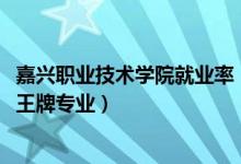 嘉興職業(yè)技術(shù)學(xué)院就業(yè)率（2022年嘉興職業(yè)技術(shù)學(xué)院評價(jià)及王牌專業(yè)）