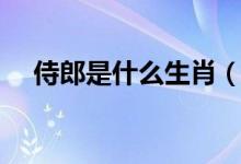 侍郎是什么生肖（自薦枕席是什么生肖）