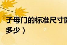 子母門的標(biāo)準(zhǔn)尺寸圖片（子母門的標(biāo)準(zhǔn)尺寸是多少）