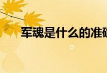 軍魂是什么的準確答案（軍魂是什么）