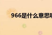 966是什么意思呢（966是什么意思）