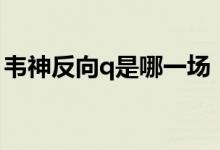 韋神反向q是哪一場（韋神反向q是哪場比賽）