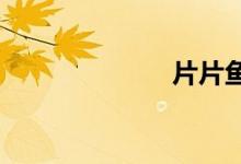片片魚是什么魚
