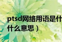 ptsd網(wǎng)絡(luò)用語(yǔ)是什么意思（ptsd網(wǎng)絡(luò)用語(yǔ)是什么意思）