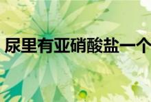 尿里有亞硝酸鹽一個(gè)加號（尿里有亞硝酸鹽）