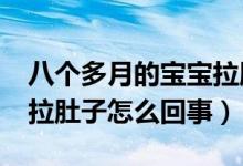 八個多月的寶寶拉肚子怎么辦?（八個月寶寶拉肚子怎么回事）