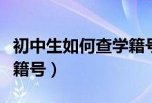 初中生如何查學(xué)籍號（如何在網(wǎng)上查初中的學(xué)籍號）