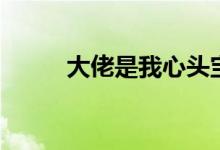 大佬是我心頭寶（大佬是什么梗）