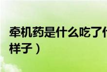 牽機(jī)藥是什么吃了什么樣子（牽機(jī)藥吃了什么樣子）