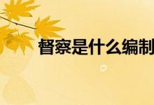 督察是什么編制（督察是什么級別）