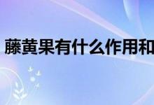 藤黃果有什么作用和副作用（藤黃果副作用）