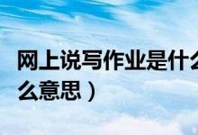 網(wǎng)上說寫作業(yè)是什么意思（網(wǎng)上說寫作業(yè)是什么意思）