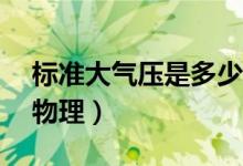 標(biāo)準(zhǔn)大氣壓是多少帕（標(biāo)準(zhǔn)大氣壓是多少pa物理）