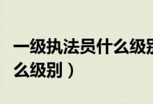 一級執(zhí)法員什么級別值得考嗎（一級執(zhí)法員什么級別）
