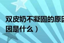 雙皮奶不凝固的原因補救（雙皮奶不凝固的原因是什么）