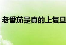 老番茄是真的上復(fù)旦了么（老番茄是什么梗）