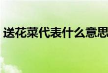 送花菜代表什么意思（送蔬菜花束什么含義）
