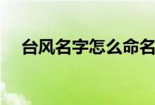臺(tái)風(fēng)名字怎么命名的（臺(tái)風(fēng)怎么起名字）