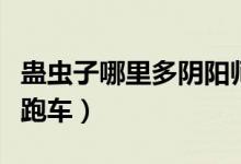 蠱蟲子哪里多陰陽師跑跑車（蠱蟲子哪里多跑跑車）