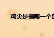 雞尖是指哪一個部位（雞尖是什么肉）