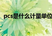 pcs是什么計量單位（pcs是什么計量單位）