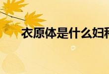 衣原體是什么婦科?。ㄒ略w是什么）