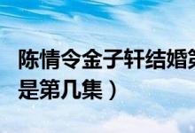 陳情令金子軒結(jié)婚第幾集（陳情令金子軒表白是第幾集）