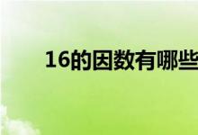 16的因數(shù)有哪些（16的因數(shù)有哪些）