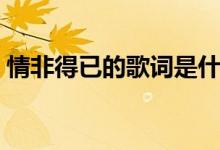情非得已的歌詞是什么（情非得已歌曲簡介）