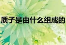 質(zhì)子是由什么組成的（質(zhì)子是什么 質(zhì)子介紹）