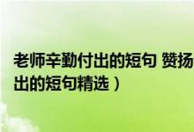 老師辛勤付出的短句 贊揚(yáng)老師辛勤的句子（關(guān)于老師辛勤付出的短句精選）