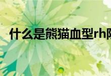 什么是熊貓血型rh陰性（什么是熊貓血型）